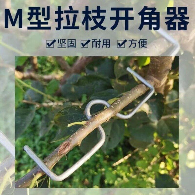 果树压枝神器树苗扭枝定型器园林苹果弯枝开角工具SM盆景造型支架