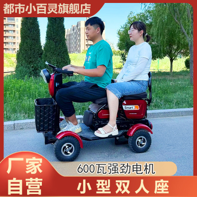 小巴士双人座小型电动四轮车老年人代步车接送孩子残疾人进电梯C5