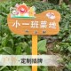 定制植树节挂牌学校幼儿园花草介绍认养植物吊牌立式 防腐木提示牌