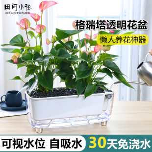 自动吸水花盆塑料阳台种菜盆免浇水长条透明黄金葛盆多肉兰花专用