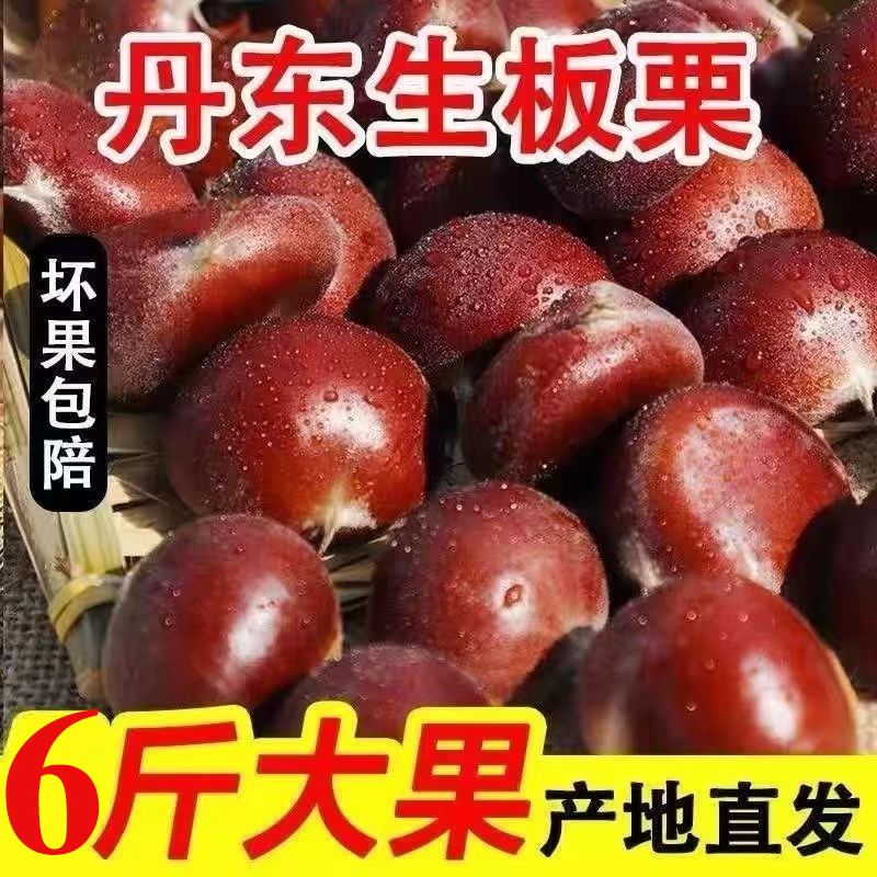 几十年老树2025年农家板栗新鲜水果生栗子带壳油栗花壳油板栗批发