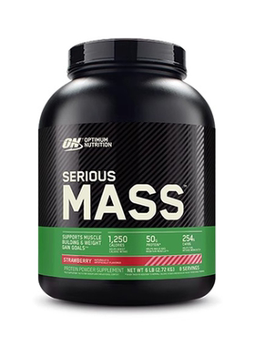 Optimum Nutrition ON Serious Mass Gainer Weight Powder 6lbs