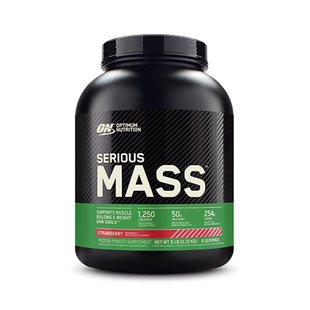 Optimum Nutrition ON Serious Mass Gainer Weight Powder 6lbs