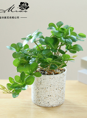 人造绿植叶子大盆景创意家居摆件仿真花装饰品仿真盆栽