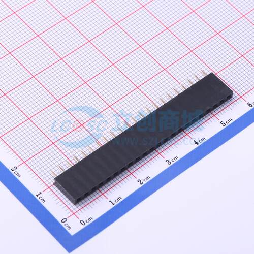 排母 CS-1165SDIG-1*22 插件,P=2.54mm 1x22P 方孔 电子元器件