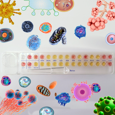 解脲支原体人型支原体淋病检测