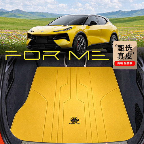 专车专用，版型精准，环保无味，高端定制。