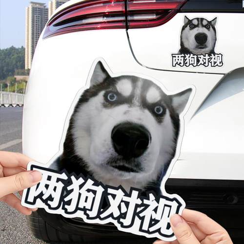 哈士奇表情包两狗对视车贴
