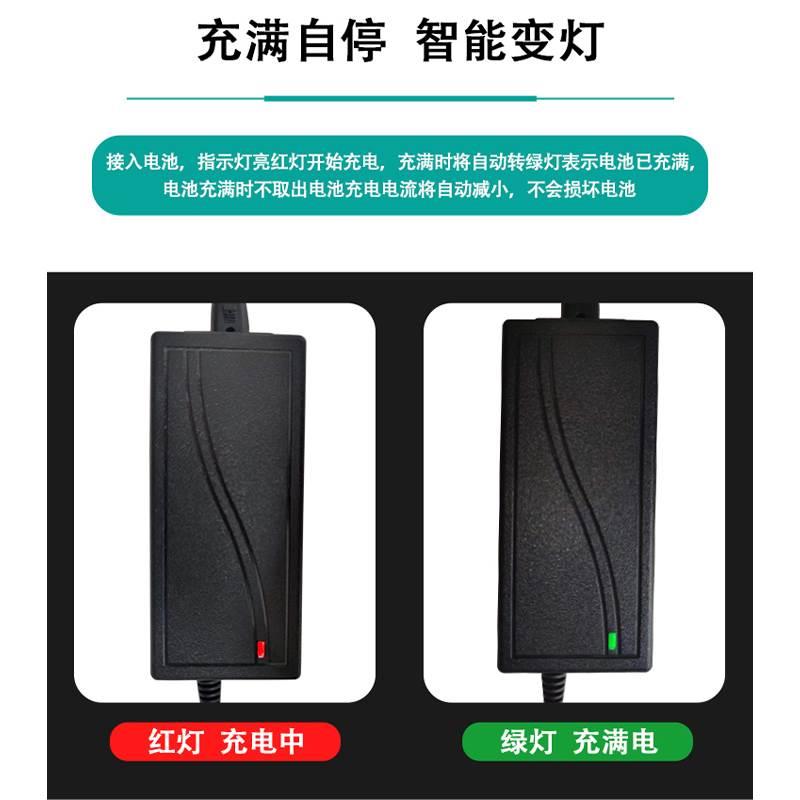 原装乐速平衡车充电器三孔插头42v双轮阿尔郎凤凰领奥通用充电线*