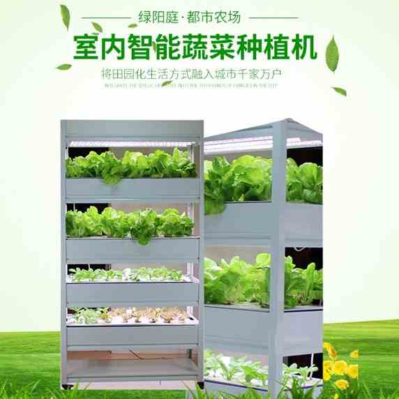 蔬菜栽培种植无土栽培机水培室内家用阳台管道种菜架家庭水耕设备