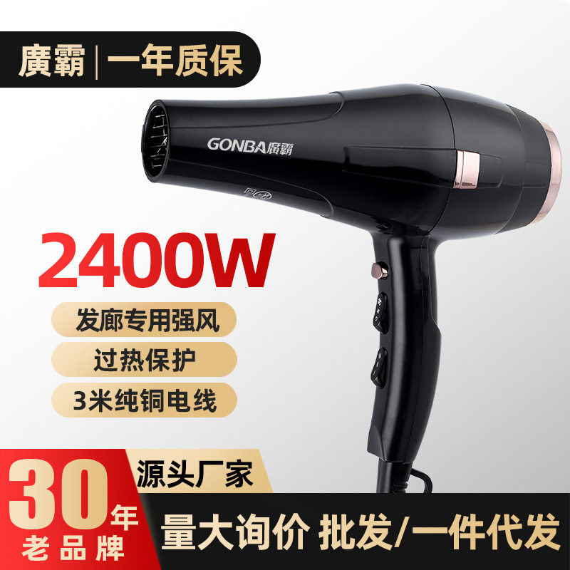 十大名牌电吹风发廊高速吹风机2400W大功率大风力家用负离子吹风