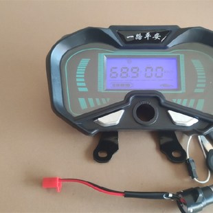 电三轮车仪表外插六根线平安蓝仪表48V60V72V用仪表壳仪表芯带线