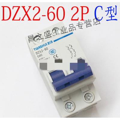 新款新品天水二一三小型断路器DZX2-602P10A15A20A25A32A40A2P4A