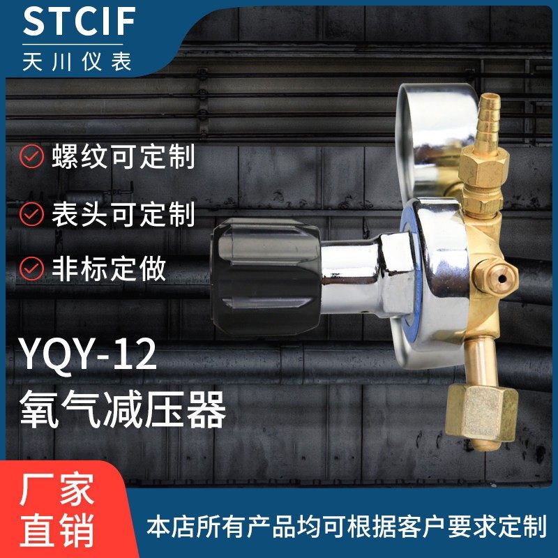 天川仪表氧气减压器0-25mpa全铜调压阀气体钢瓶用厂家直销包邮