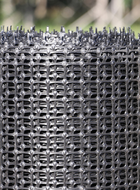 塑料网格养殖网土工格栅果园鱼塘防护网圈地网漏粪网养鸡鸭围栏网