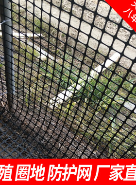 土工格栅塑料网格防护网小孔养殖网拦养鸡围栏网圈玉米网黑色胶网
