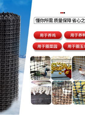 圈玉米网塑料网土工格栅养鸡鸭鹅鱼塘围栏防护网栅栏养殖网护栏网