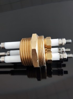 锅炉铜头电极一寸三针高温高压水位探针保持器液位探头ST-CUG1-3S