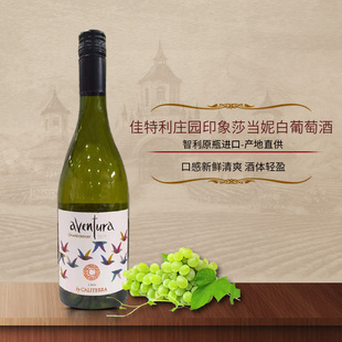 热带水果智利原瓶干白佳特利庄园印象莎当妮白葡萄酒13度750ml