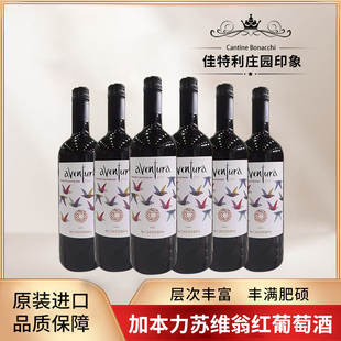 智利原瓶进口干红佳特利庄园印象加本力苏维翁13度赤霞珠红葡萄酒