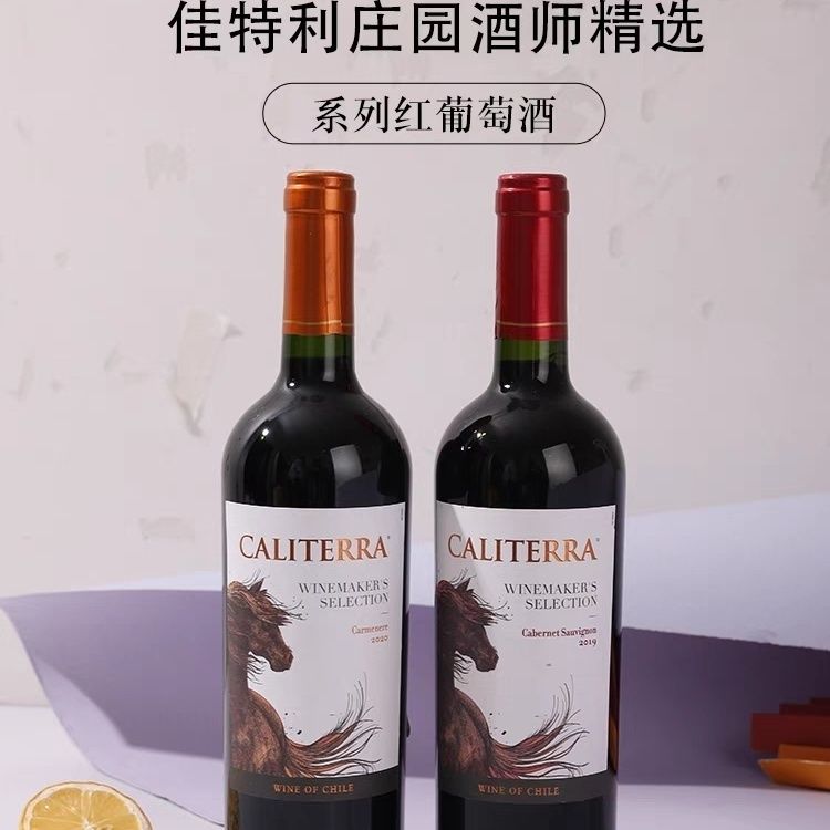 智利原装进口佳特利庄园酒师精选加本力苏维翁梅洛莎当妮红葡萄酒