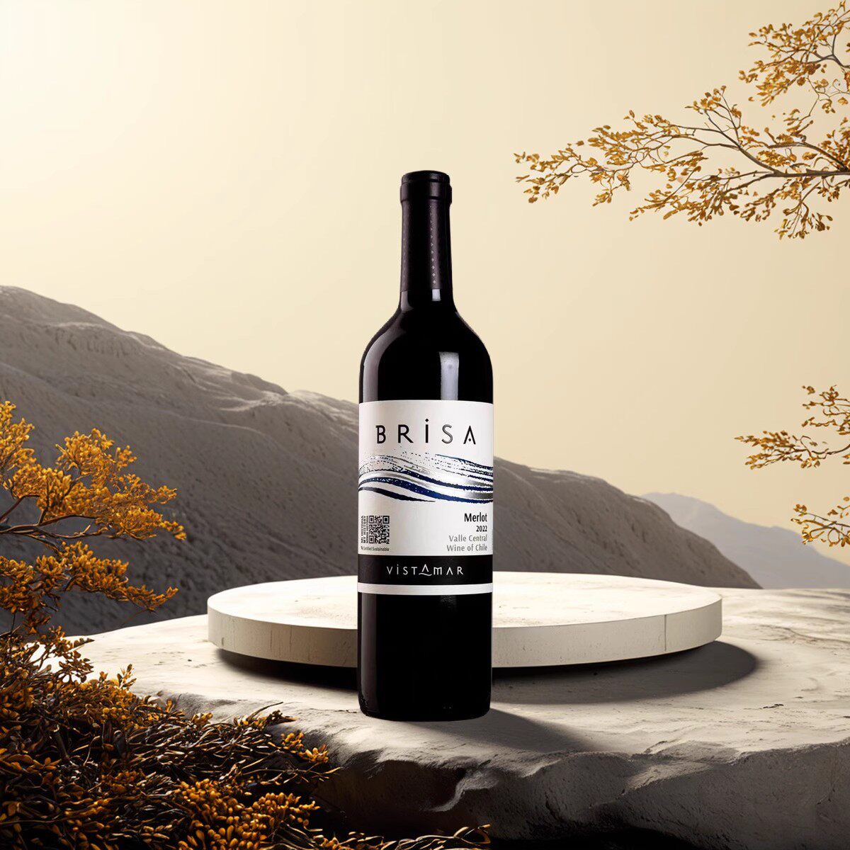 特价维斯特玛美乐 梅洛红葡萄酒 VistamarBrisa Merlot750ml 2019