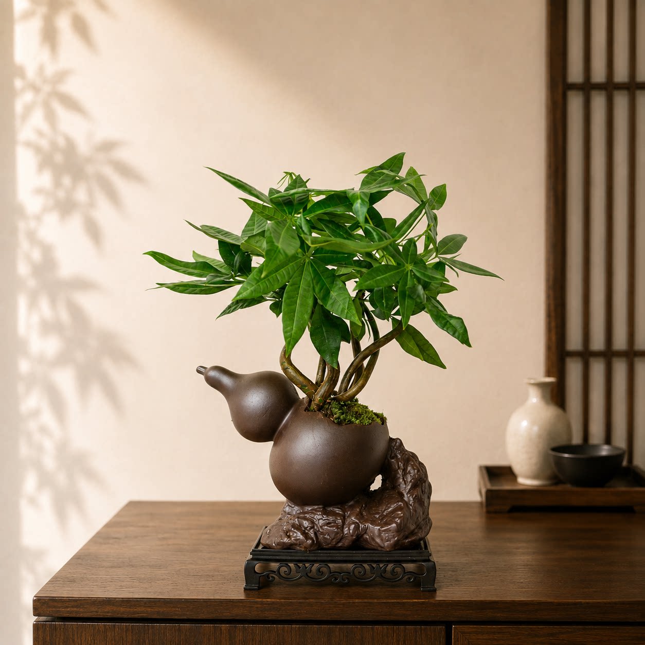 奇趣发财树办公室桌面绿植中式盆栽造型高级感易养护乔迁开业礼物图片