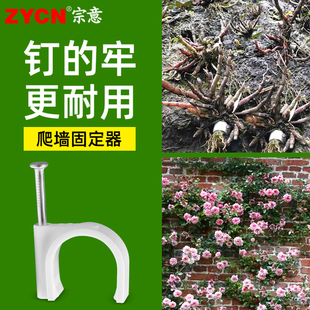 花枝固定器月季 花墙墙上花卉绿植爬墙神器室外铁皮石斛墙扣卡扣钉