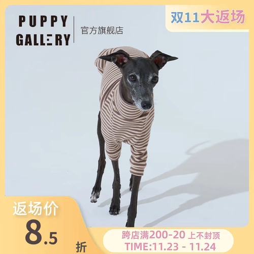 Корейская щедрость ретро -полосатая полоса