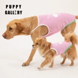 Корейский щедрый рост вишневой жилетки домашних животных домашних животных собак одежда для собак Весна и осенняя весна маленькая и маленькая Ину ди