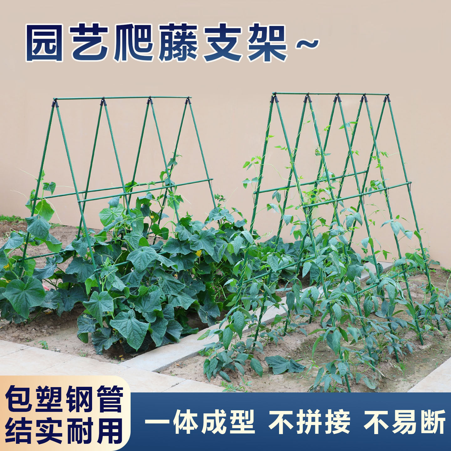 黄瓜爬藤架豆角架杆西红柿支撑杆种菜搭架子庭院葡萄种植箱爬藤架图片