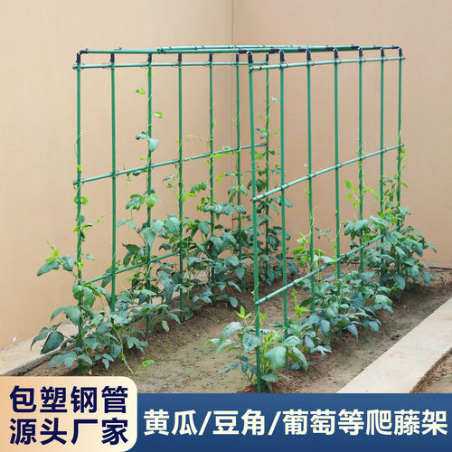 黄瓜豆角爬藤架葡萄架子四季豆花架庭院户外支撑丝瓜架植物支撑杆