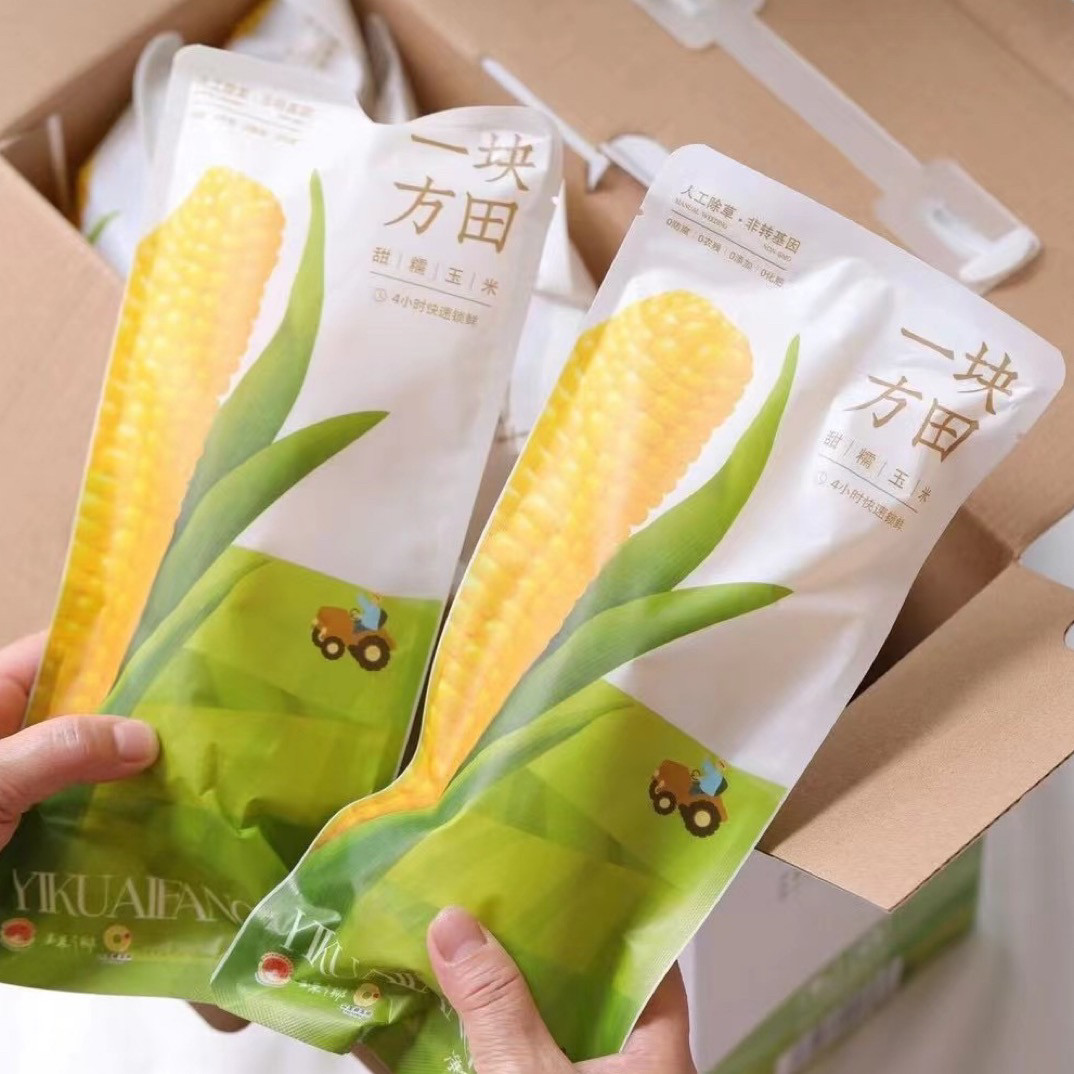 一块方田黄糯玉米软糯香甜早餐公主岭大苞米健康粗粮香糯苞谷