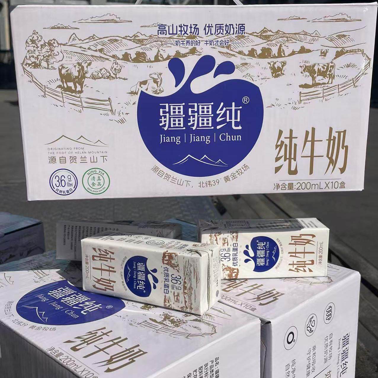 疆疆纯纯牛奶全脂牛奶10盒优质乳蛋白牛奶成人儿童营养早餐奶整箱
