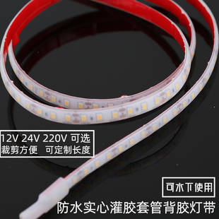 12V24V低压220V高压防水灯带可泡水下灯背胶固定灌胶户外鱼缸灯条