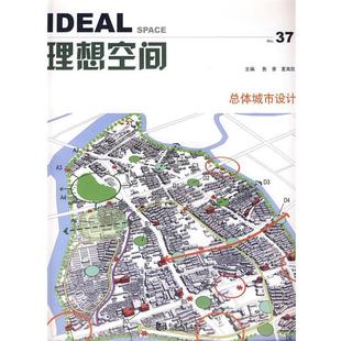 【正版书】 理想空间总体城市设计 鲁赛,夏南凯　主编 同济大学出版社