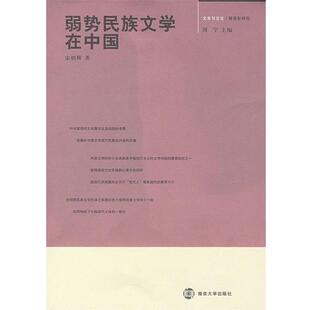 【正版书】 弱抛民族文学在中国 宋炳辉 著 南京大学出版社