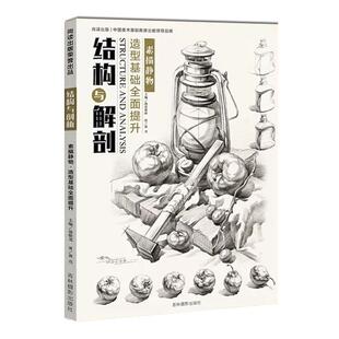 【正版】结构与解剖 素描静物 基础造型规律深度剖析 常规单体逐一详解 刘洋
