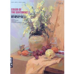 【正版】感悟色彩 Ⅱ II 艾鹏、魏巍 ；杨建飞