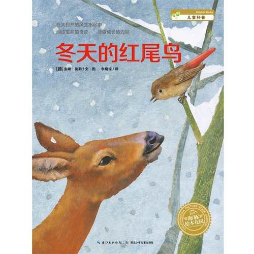 【正版】海豚绘本花园 冬天的红尾鸟 [德]安娜·莫勒 李