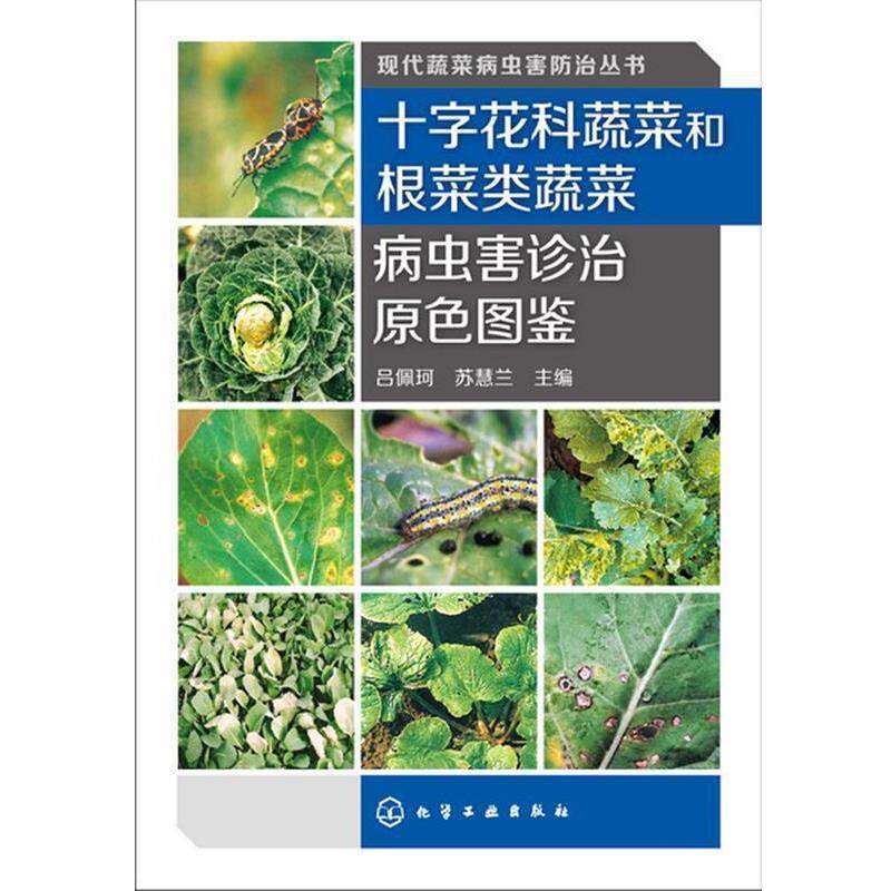 【正版书】 现代蔬菜病虫害防治丛书--十字花科蔬菜和根菜类蔬菜病虫害诊治原色图鉴 吕佩珂 化学工业出版社