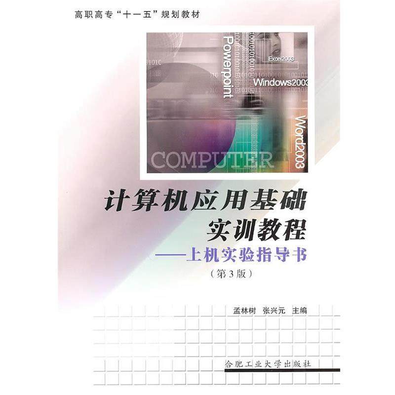 【正版】计算机应用基础实训教程 上机实验指导书 张兴元 孟林树