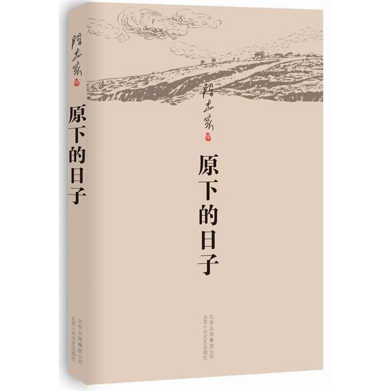 【正版】陈忠实 原下的日子（2013年版） 陈忠实