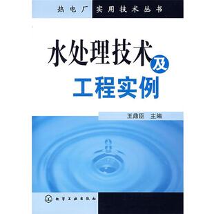 【正版书】 热电厂实用技术丛书--水处理技术及工程实例 王鼎臣 化学工业出版社