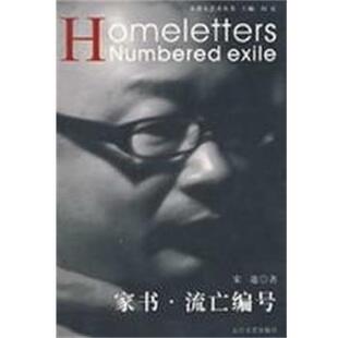 朱雀大艺术丛书 流亡编号 家书 宋逖 正版