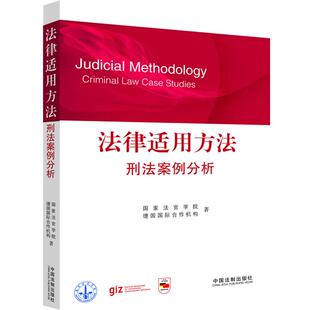国家法官学院 刑法案例分析 法律适用方法 德国国 正版