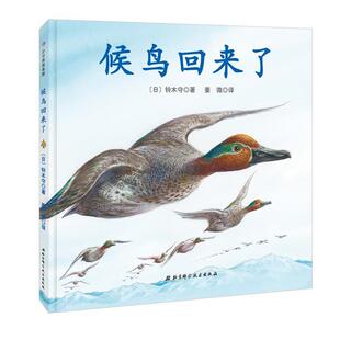 【正版书】 神奇的迁徙之旅·候鸟回来了 铃木守 著, 姜微 译 北京科学技术出版社