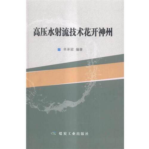 【正版书】 高压水射流技术花开神州 辛承梁 编 煤炭工业出版社