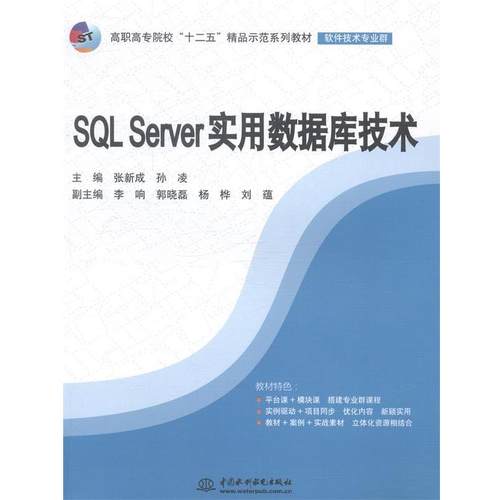 【正版】SQL Server实用数据库技术 张新成、孙凌、李响