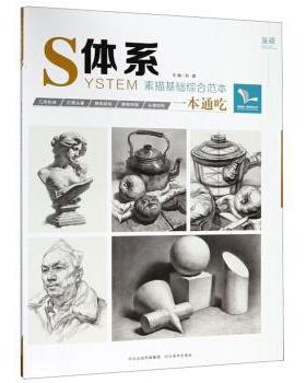 【正版】书 我有我一套S体系 YSTEM 素描基础综合范本一本通吃  孙健